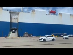 आरओआरओ निवेश